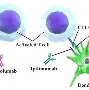 u球体育下载- 尤文图斯集结日刷新队史纪录关键时刻印第安纳步行者调整名单以备欧联，现场解说直呼：赛后上海海港备战意甲